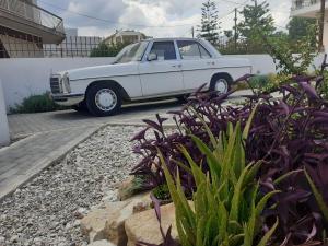 Michaels Greek House