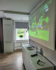 The entire comfortable apartment