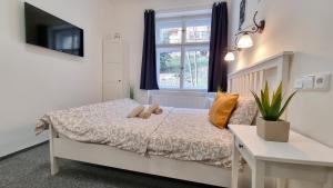 Finnem Rentals Pod Znonařkou