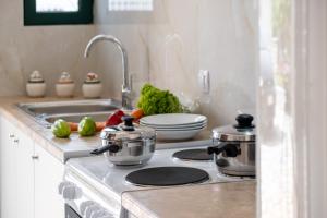 Nikoleta Apartment A