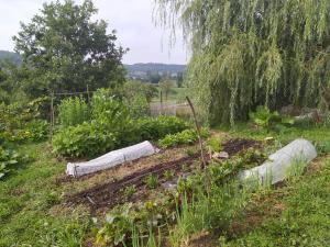 Sejours a la campagne Les Gites de Campardon : photos des chambres