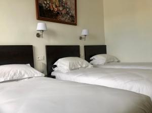 Hotels Le Grand Hotel Ussel : Chambre Triple