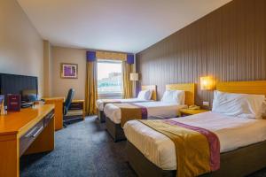 Standard Twin Room room in City Hotel
