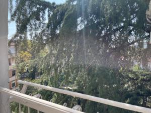 Pine-Tree Spacious 2 BDR Apartment near Tanners Bridge with hot tub