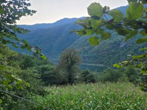 Guest cottage - Nankas house