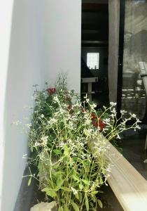 Charmant duplex avec jacuzzi