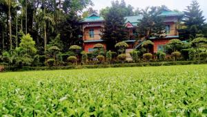 Vips Ruposhi Bangla Eco Resort