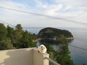 Kalithea Studios Skopelos Greece