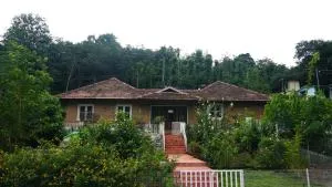 Nila Homestay - Ponmudi