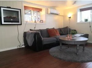 Sentral studioleilighet ved stranden og hvalsenter NB Må vaskes etter endt leie eller betale rengjøringshjelpen 500 kr - Skarstein