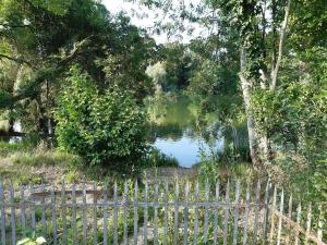 chalet sans voisin, rivière, nature, terrain clos