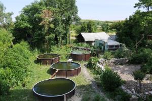 Maisons d'hotes Le Domaine du Meunier : photos des chambres