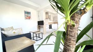 STRASBOURG CENTRE HISTORIQUE Accès direct en Tram et Aéroport