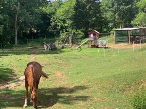 Maisons de vacances Centre Natureau : photos des chambres