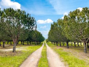 Quinta do Cutato - Beatriz Guest House - A1