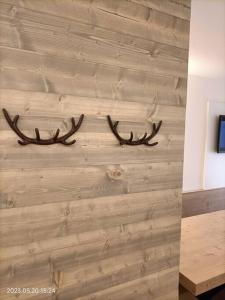 Alloggio Asiago Centro (appartamento nuovo)