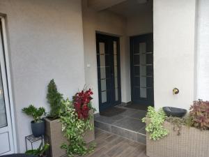 Apartman Zlata