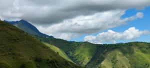 hotel chakrata green and camping