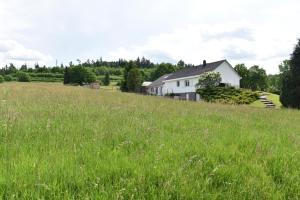 Villas Au gres des Vosges : photos des chambres