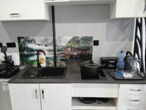 Komfortowy Apartament u Baltazara