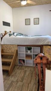 Appartements le hibou : photos des chambres