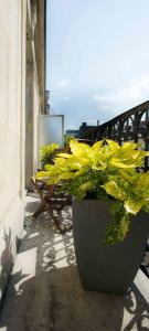 Appartements Caumartin 64