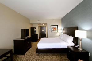 King Room room in Hilton Garden Inn Findlay