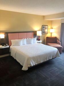 Hampton Inn & Suites Norfolk-Airport