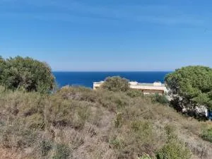 Appartement avec Terrasse, WIFI, Parking Privé, à 2min de la Plage des Elmes - Banyuls-sur-Mer - FR-1-309-130 - Banyuls-sur-Mer