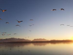 Ferienwohnung Bergliebe
