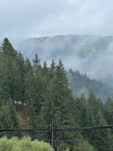 Nordik Cabin - Aframe with 2 bedrooms