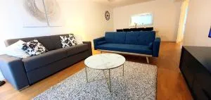 TULIPE - Spacieux appart 105 m2 -3 Ch - PARIS EXPO - CACHAN - 卡尚