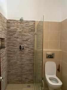 Sunny Studio Beachfront Apartment