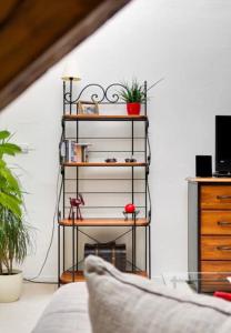 Lenkas cozy Red studio + Lenkas cozy Gold apartment