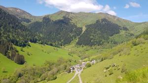 Logis Hotels - Hotel - Restaurant - Bar - Le Sapin Fleuri : photos des chambres