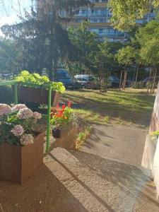 Lovely room and free parking