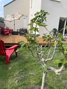 Maisons de vacances GITE DES MARAIS : photos des chambres