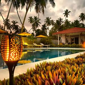 Sleeping Elephant Beach Resort