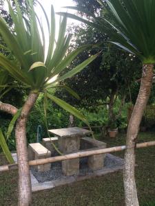 Paa & Michaels Resort