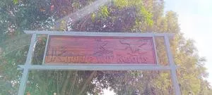 JK Nature Stay Resorts - Kottakamboor