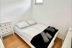 Kölner Apartment direkt am Zentrum