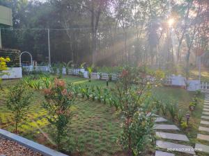 Family Cottage at Merlys Fruit Garden, Thattekkad