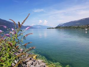 Appartement indépendant dans maison au calme