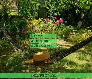 Pensiunea Deceneu - Bertea