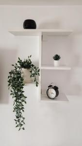 Central View Calimanesti