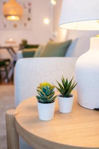 Apartamentos Rocamar