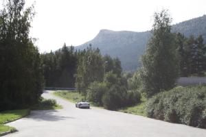 Dovreskogen Gjestegård AS