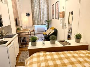 Appartements Joli appartement en hyper centre de Grenoble : photos des chambres