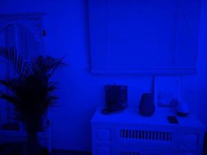 Villas Cocon 3 Etoiles - Love et Detente : photos des chambres