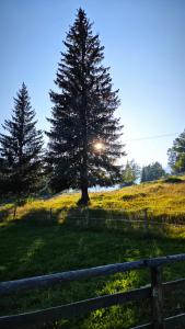 Triglav Cottage 